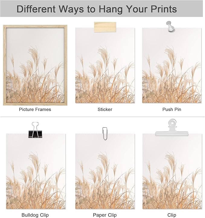 SIGNWIN Poster Bathroom Decor, Wall Art Room Decor Multicolor for Living Room, Bedroom, Office White Pampas Grass Beach Ocean Shore Horizon Nature Wilderness Realism Landscape Colorful - 12"x16"x4