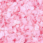 1500Pcs Real Pink Hydrangea Flower Petals for - 1.06 oz Natural Dried Pink Petals for Romantic Night, Her Set, Proposal Decor