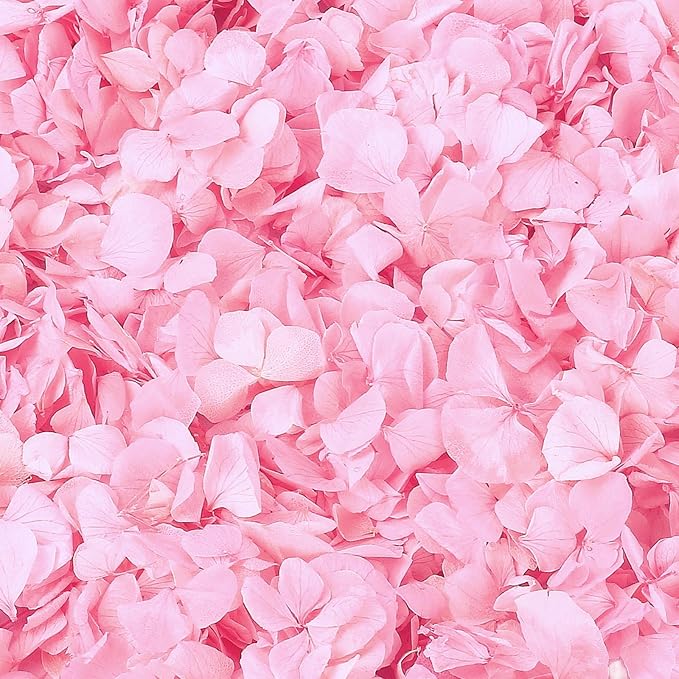 1500Pcs Real Pink Hydrangea Flower Petals for - 1.06 oz Natural Dried Pink Petals for Romantic Night, Her Set, Proposal Decor