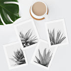 SIGNWIN Poster Set Black White Snake Plant Agave Cactus Succulent Close Up Floral Botanical Photography Modern Art Decorative Scenic Multicolor Nature Wilderness for Bedroom - 8"x10"x 4