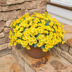 Daisy Artificial Flowers for Outdoors Fall Autumn Decoration, 6 Bundles Fake Mums Yellow Silk Flowers for Outside Look Real UV Resistant Faux Flowers Plants for Planter Front Door Home Indoor Porch