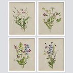 SIGNWIN Framed Watercolor Floral Botanical Wall Art, Set of 4 Vintage Wall Decor Prints, Minimalist Wall Décor for Living Room, Bedroom - 11"x14" White
