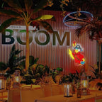 Pirate Parrot Neon Light - Pirate LED Light Wall Decor Ideal for Pirate Party Decorations Gifts for Friends