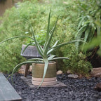 6 + 8 Inch Plant Pots, Ceramic Planter Pot with Drainage Hole & Saucer, Indoor/Outdoor Cylinder Round Planter Pot, Green