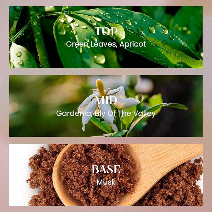 M&SENSE 8.4 oz Large Reed Diffuser for Home | Gardenia Scent Oil Diffuser with Sticks | Bedroom Bathroom Living Room Decor