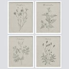 SIGNWIN Framed Vintage Wildflower Wall Art, Set of 4 Plant Collage Drawing Wall Decor Prints, Nature Wilderness Wall Décor for Living Room, Bedroom - 8"x10" White
