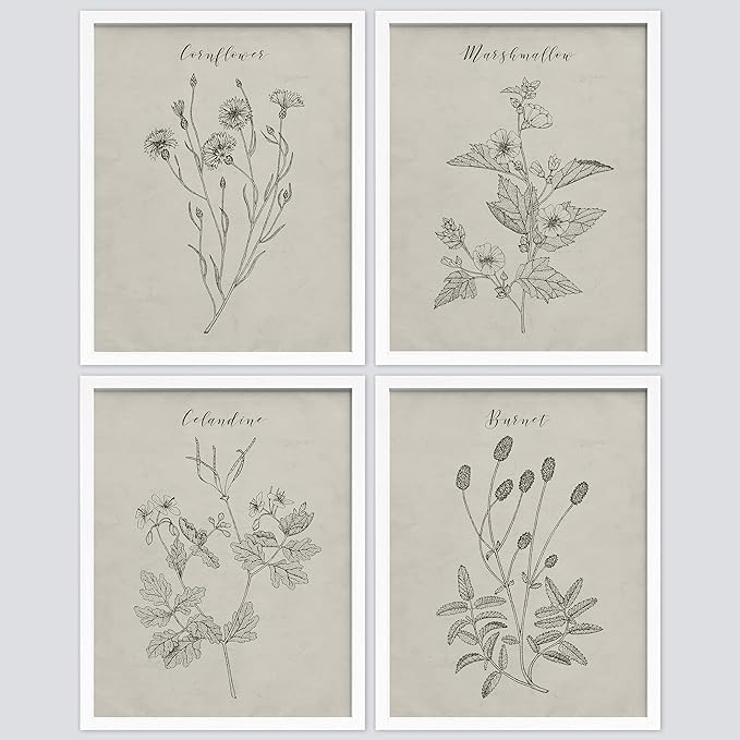 SIGNWIN Framed Vintage Wildflower Wall Art, Set of 4 Plant Collage Drawing Wall Decor Prints, Nature Wilderness Wall Décor for Living Room, Bedroom - 8"x10" White