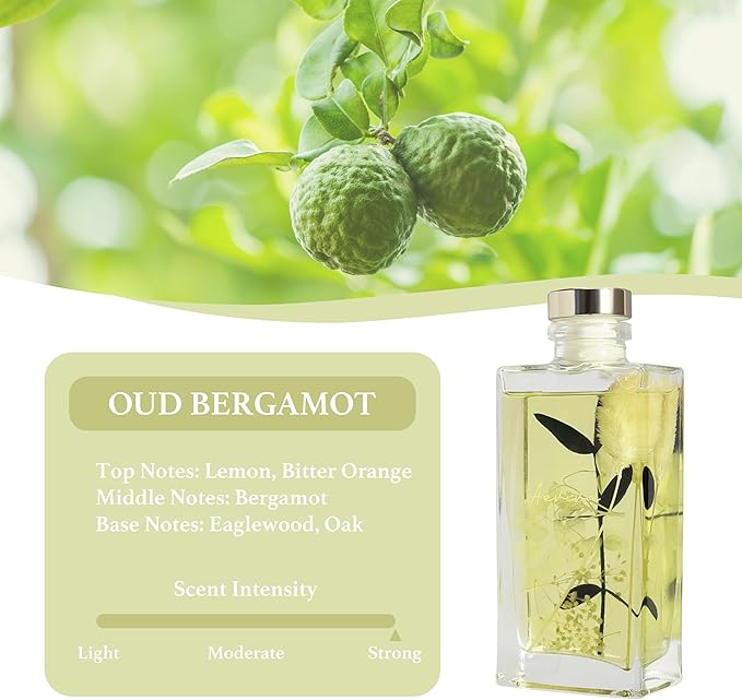 Reed Diffuser Set, 5 fl oz Oud Bergamot Scented Oil Diffuser, Home Fragrance with Cotton Reed Sticks for Bedroom, Office, Bathroom Shelf Decor & Gifts