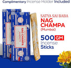 Raajsee Incense Stick Holder Bundle with Satya Nag Champa Incense Sticks 250 gmx 2 Pack (500 GMS), Insense Sticks Nag Champa Agarbatti