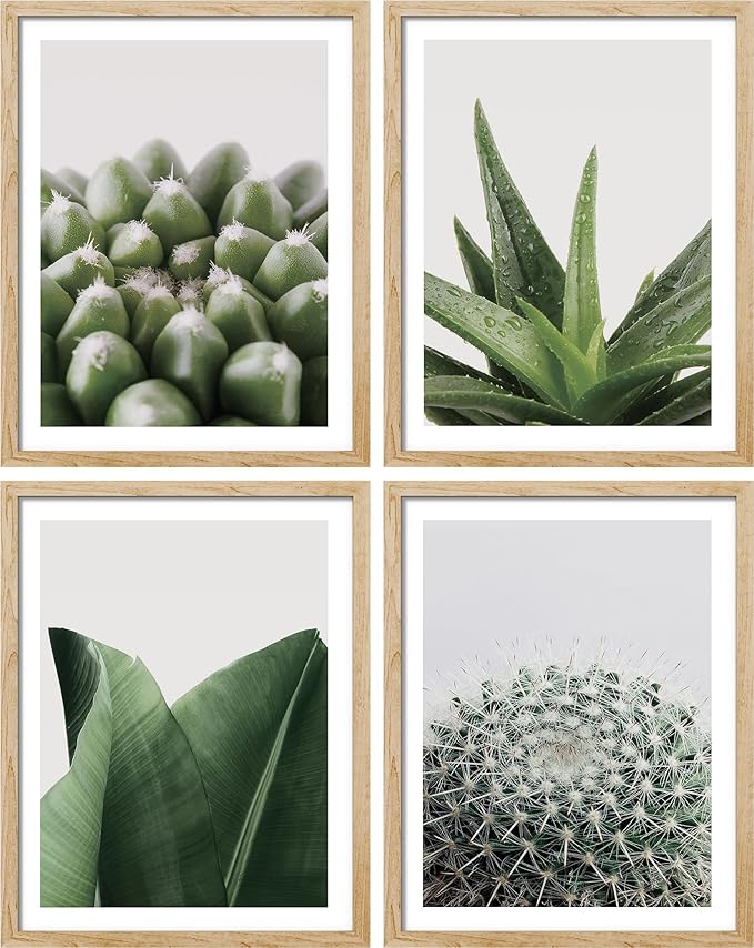 SIGNWIN Adhesive Canvas Poster Tropical Island Green Desert Plant Cactus Snake Plant Nature Wilderness Photography Realism Decorative Rustic Cozy Zen for Living Room, Bedroom, Office - 12"x16"x4