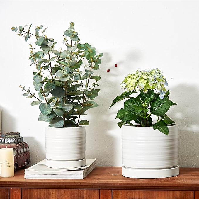 6 + 8 Inch Plant Pots, Ceramic Planter Pot with Drainage Hole & Saucer, Indoor/Outdoor Cylinder Round Planter Pot, Matte White