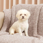 Snuggle Sac Queen Size Bedding Blanket Taupe,Super Soft Warm Microfiber Blankets Cozy Knit Fuzzy Plush Bed Blankets,Heather Taupe, 90x90 inches