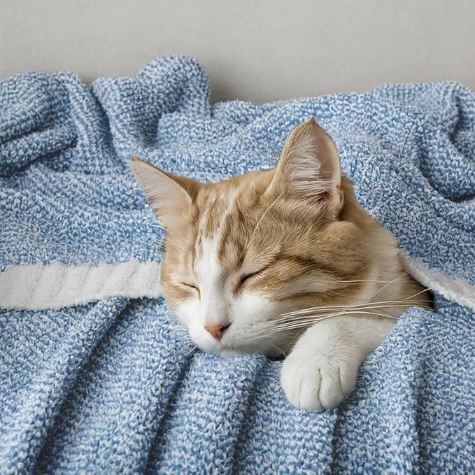 MIULEE Blue Super Soft Throw Blanket for Bed, Twin Size Cozy Fluffy Warm Blankets Knit Blankets for Couch, Sofa, Chair, Living Room, Camping, Picnic, 60 x 80 inch