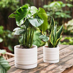 6 + 8 Inch Plant Pots, Ceramic Planter Pot with Drainage Hole & Saucer, Indoor/Outdoor Cylinder Round Planter Pot, Matte White