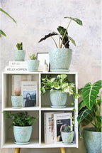 Succulent Planter for Indoor Plants, 4 Inch Small Ceramic Plant Pot with Drainage Holes and Saucers, Flower Pots for herb - Set of 4