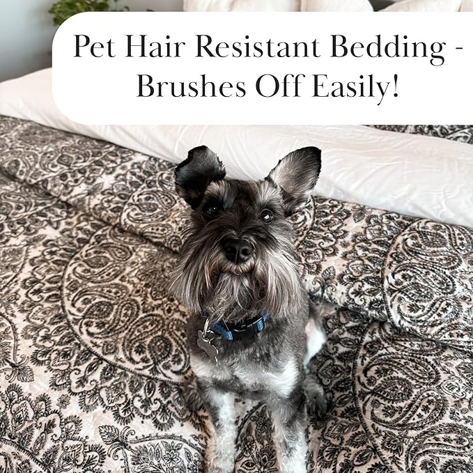 Southshore Fine Living, Inc. Ashanti Collection Oversized Quilt Queen Bedding Set Lightweight, Soft Coverlet Bedspread 3-Piece with Two Matching Shams (98 in Wide x 98 in Long), Full/Queen, Grey