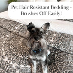 Southshore Fine Living, Inc. Ashanti Collection Oversized Quilt Twin Bedding Set Lightweight, Soft Coverlet Bedspread 2-Piece with one Matching sham (69 in Wide x 98 in Long), Twin/XL, Grey