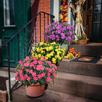 Artificial Impatiens Bouquet Flowers for Outdoors Silk Faux Flowers for Outdoor Impatiens Plants Decor Indoor Planters Kitchen Planters and Balcony Decorations 4PCS (Rose Red)