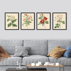 SIGNWIN Framed Vintage Colorful Wildflower Wall Art, Set of 4 Variety Floral Wall Decor Prints, Nature Wilderness Wall Décor for Living Room, Bedroom - 11"x14" Black