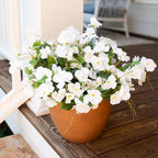 Fall Flowers Fake Flowers for Outdoors Autumn Decoration, 6 Bundles Faux Silk Hibiscus Artificial Plants Realistic UV Resistant Tropical Flowers for Outside Planter Patio, White