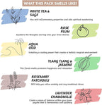 Folkulture Incense Sticks | Set of 6 (120 Non Toxic-Stick) | 45 Mins Burn Time | Rosemary, Jasmine, Lavender and Sage Inscents-Stick | Organic Sleep Incense | Insence-Sticks Variety Pack