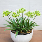 Faux Outdoor Flowers Realistic Artificial Plants 8 Bundles Agapanthus Plastic Flower Outside 18.9 in Fake Greenery Stems Green Flower for Pot Planter Decor Outside