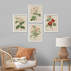 SIGNWIN Framed Vintage Colorful Wildflower Wall Art, Set of 4 Variety Floral Wall Decor Prints, Nature Wilderness Wall D¨¦cor for Living Room, Bedroom - 12"x16" White