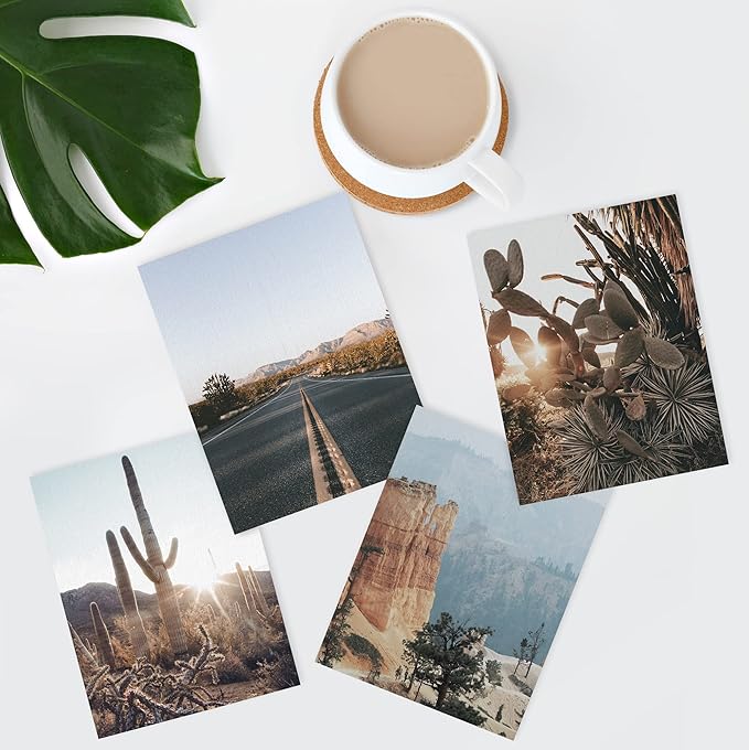 SIGNWIN Adhesive Canvas Poster Southwest Texas Arizona Saguaro Cactus Desert Landscape Nature Wilderness Photography Modern Art Decorative Zen Relax/Calm Multicolor Scenic for Bedroom - 11"x14"x4