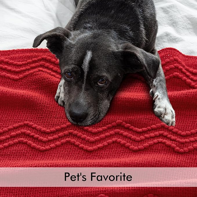 MIULEE Red Knitted Throw Blanket for Couch Boho Textured Cozy Woven Blanket with Tassels for Sofa Chair Bed Living Room Acrylic Wave Pattern 60"x80"