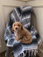 Del Mex Classic Mexican Blanket, Large Authentic Woven Falsa Throw (70"x50"), Artisan Southwest Décor for Beach, Yoga, Outdoors (Gray)