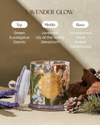 M&SENSE Lavender Candles for Home Scented, Organic Soy Candles with Natural Essential Oil, Relaxing Aromatherapy Candles for Bath Spa Meditation, 2 Wick 12.7oz Large Candle 75 Hour Long Lasting