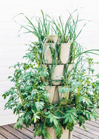 Greenstalk Patented Large 5 Tier Vertical Garden Planter with Patented Internal Watering System Great for Growing a Variety of Strawberries, Vegetables, Herbs, & Flowers (Stunning Stone)