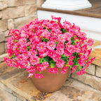 HyeFlora Artificial Flowers for Outdoors Fake Plants Outside Decoration, 12 Bundles Silk Hot Pink Morning Glory UV Resistant Look Real Faux Flowers for Planter Front Door Porch Patio Yard Gardens Home