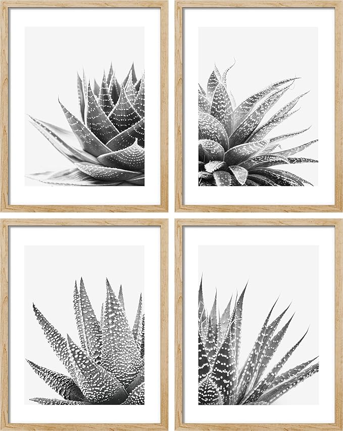 SIGNWIN Framed Black White Snake Plant Agave Cactus Succulent Wall Art, Set of 4 Floral Botanical Wall Decor Prints, Nature Wilderness Wall Décor for Living Room, Bedroom - 12"x16" Natural