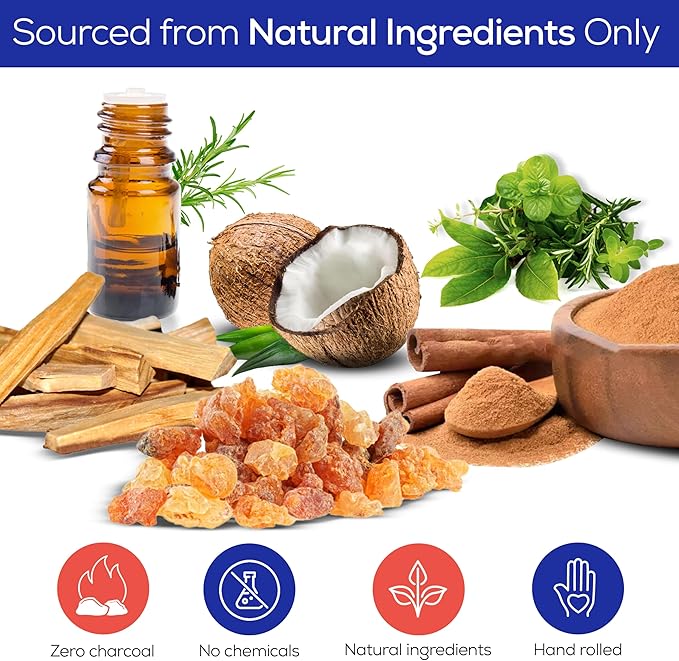 Raajsee Incense Stick Holder Bundle with Satya Nag Champa Incense Sticks 250 gmx 2 Pack (500 GMS), Insense Sticks Nag Champa Agarbatti