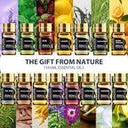 SACATR Essential Oil Diffusers for Home with 15 Oil Diffuser Sets, 500ml Aroma Diffuser for Essential Oils Large Room, Ultrasonic Cool Mist Diffuser Auto Shut-Off 4 Timers 15 Colors (15x5mL)