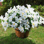 Artificial Flowers for Outdoors, 3 Bundles Fake Silk Azalea Bouquet Faux Flower Plants Outside Decoration UV Resistant Realistic Fake Flowers for Planter Front Door Patio Garden Walkways Home, White