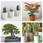 5 lbs Pebbles for Indoor Plants, Succulent, Cactus, 1/5 Inch Small Lava Rock for Plants Drainage, Natural Horticultural Volcanic Rock, Top-Dressing