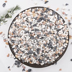 2.5 lbs Small Rocks for Plants, 1/5 Inch Pebbles for Indoor Plants, Natural Decorative Pea Gravel for Aquarium, Fish Tank, Terrarium, Succulents, Bamboo Plants, Vases, Cactus, Crafts