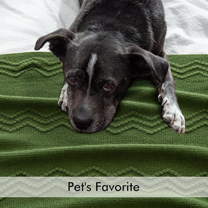 MIULEE Olive Green Knitted Throw Blanket for Couch Boho Textured Cozy Woven Blanket with Tassels for Sofa Chair Bed Living Room Spring Acrylic Wave Pattern 50"x60"