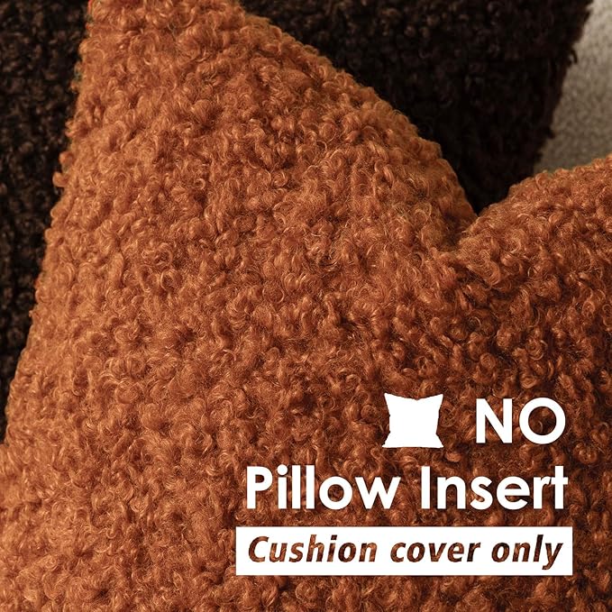 Foindtower 2 Pieces 22x22 Inch Burnt Orange, Faux Fur Throw Pillow Cover Accent Sherpa Furry Pillow Cover Fuzzy Soft Pillowcases Cozy Sheepskin Decorative Fleece Cushion Case for Bed Couch Living Room