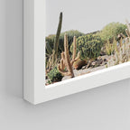 SIGNWIN Framed Tropical Palm Tree Saguaro Cactus Wall Art, Set of 4 Desert Landscape Wall Decor Prints, Nature Wilderness Wall Décor for Living Room, Bedroom - 11"x14"x 4 White