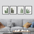SIGNWIN Framed Green Cactus Snake Plant Wall Art, Set of 4 Collage Desert Landscape Wall Decor Prints, Nature Wilderness Wall Décor for Living Room, Bedroom - 11"x14"Black