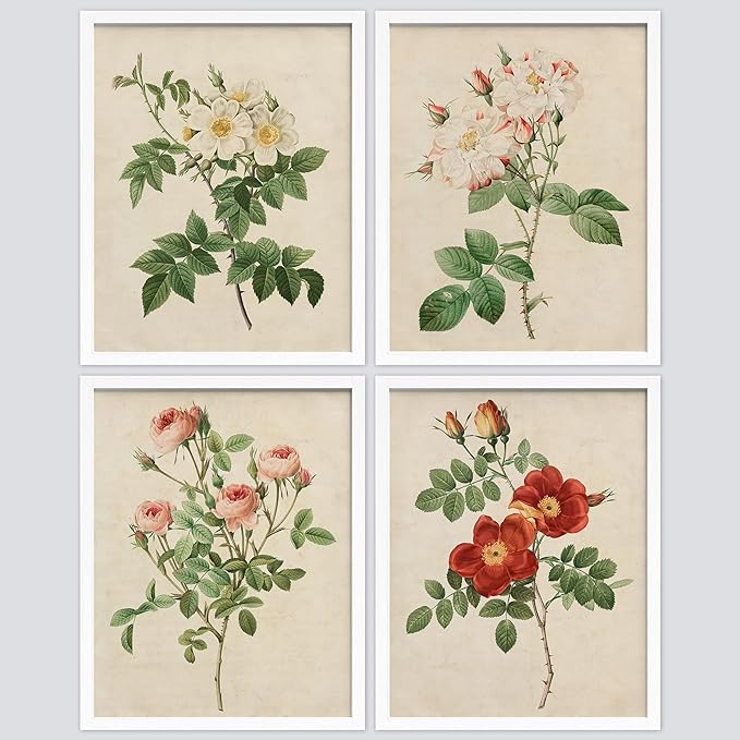 SIGNWIN Framed Vintage Colorful Wildflower Wall Art, Set of 4 Variety Floral Wall Decor Prints, Nature Wilderness Wall D¨¦cor for Living Room, Bedroom - 12"x16" White