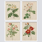 SIGNWIN Framed Vintage Colorful Wildflower Wall Art, Set of 4 Variety Floral Wall Decor Prints, Nature Wilderness Wall D¨¦cor for Living Room, Bedroom - 12"x16" White