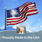 SMELLS BEGONE Air Freshener Pet Odor Absorber Gel - 15 oz, Pack of 2 - Absorbs and Eliminates Odor in Pet Areas, Bathrooms, Cars, & Boats - Made with Essential Oils - Citrus Scent