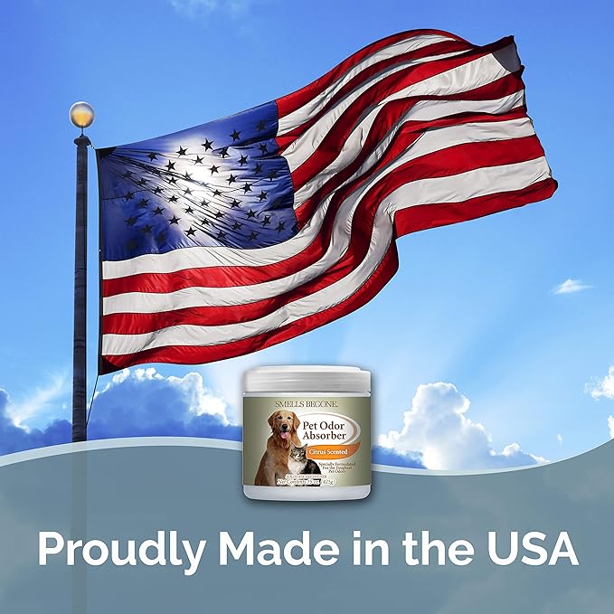 SMELLS BEGONE Air Freshener Pet Odor Absorber Gel - 15 oz, Pack of 2 - Absorbs and Eliminates Odor in Pet Areas, Bathrooms, Cars, & Boats - Made with Essential Oils - Citrus Scent