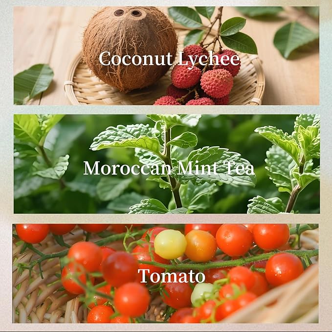 KRD Series Cute Scented Candles & Hanging Freshener Gift Set, 3 Ceramic Jar Candles with Pet Stickers, 1 Ribbon Sachet, 4 Scents for Home & Car