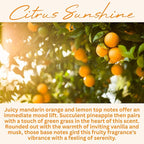 Citrus Sunshine Scented Candle, Many Scents to Choose from, All Natural Non-Toxic Soy Wax, Handmade in The USA (Citrus Sunshine)