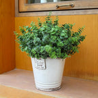 Artificial Fall Eucalyptus Plant – 8PCS Outdoor Fake Greenery, UV Resistant Fake Plants for Porch, Patio, Thanksgiving or Autumn Home Decor - Green Leaves